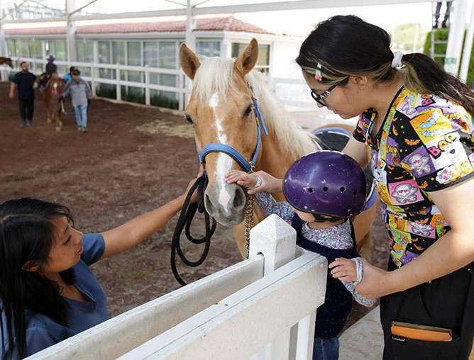 Centro Municipal de Equinoterapia y Rehabilitación Integral